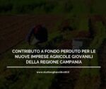 CONTRIBUTO A FONDO PERDUTO PER LE NUOVE IMPRESE AGRICOLE GIOVANILI DELLA REGIONE CAMPANIA